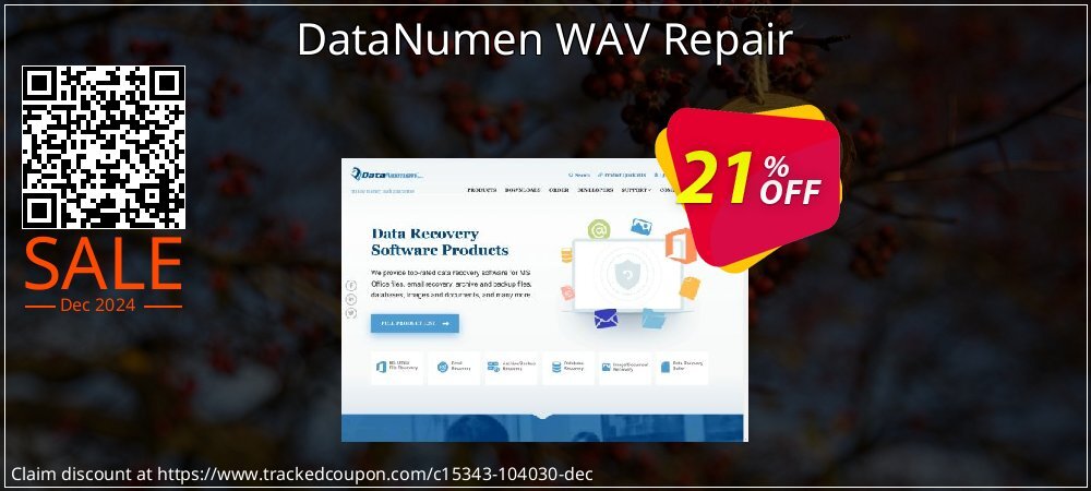 DataNumen WAV Repair coupon on Christmas Card Day discounts