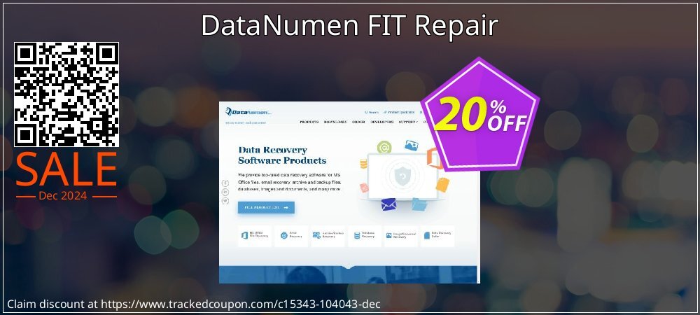 DataNumen FIT Repair coupon on New Year's Day offer