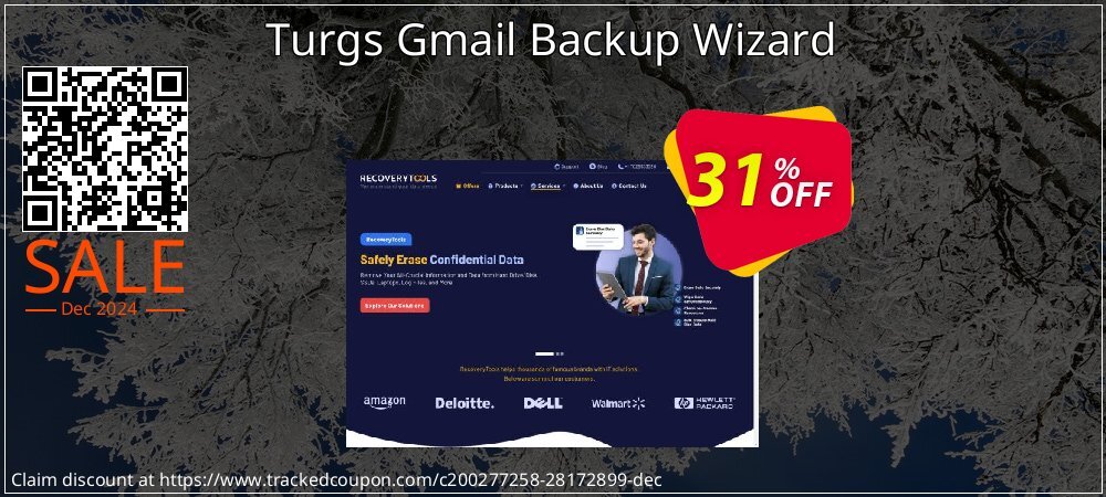 Turgs Gmail Backup Wizard coupon on Christmas Card Day promotions