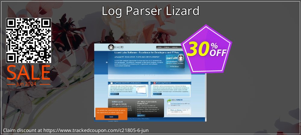 Log Parser Lizard coupon on Summer sales