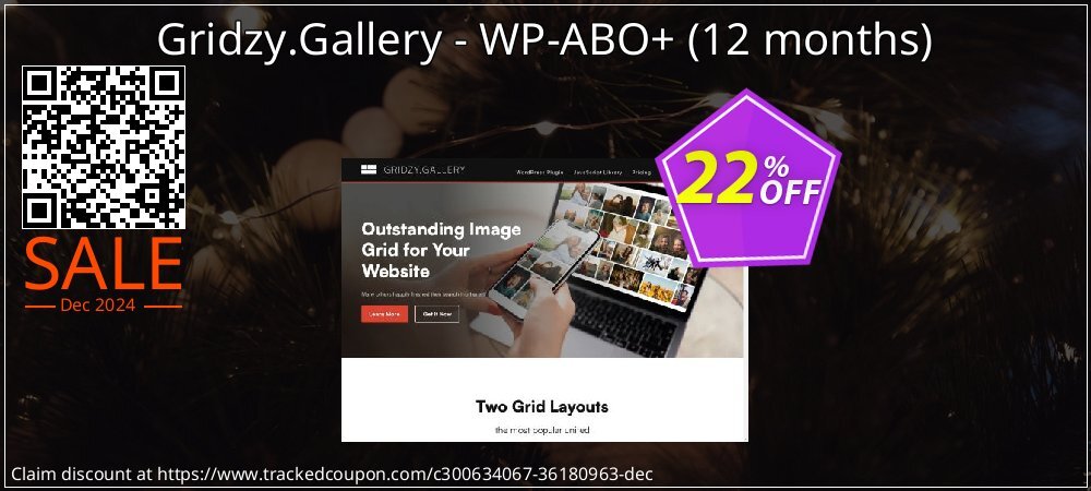 Gridzy.Gallery - WP-ABO+ - 12 months  coupon on Christmas & New Year discount